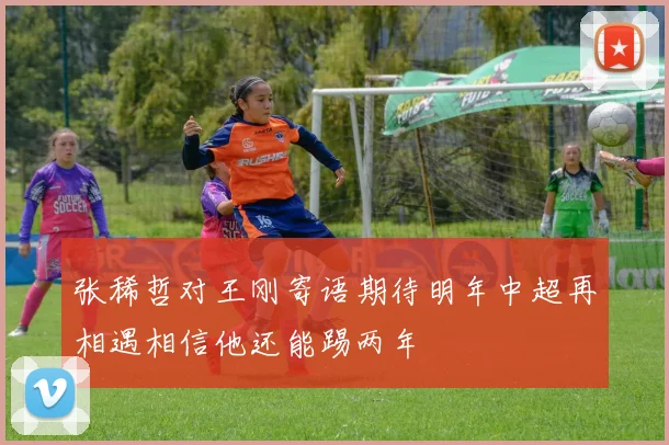 张稀哲对王刚寄语期待明年中超再相遇相信他还能踢两年