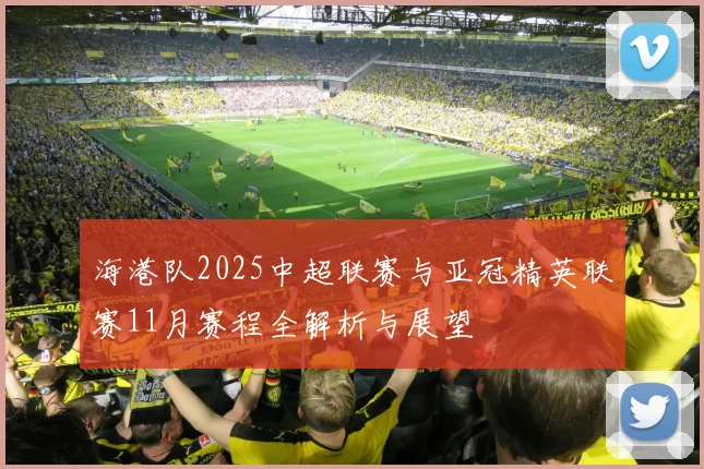 海港队2025中超联赛与亚冠精英联赛11月赛程全解析与展望